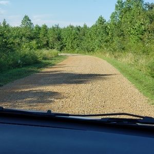 Meet your Posher, Carrie